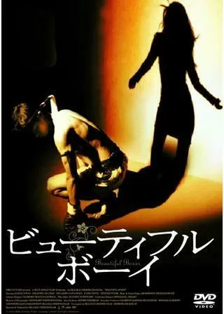 ビューティフル・ボーイのポスター