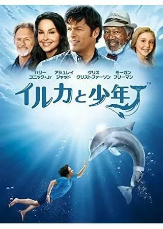 イルカと少年のポスター