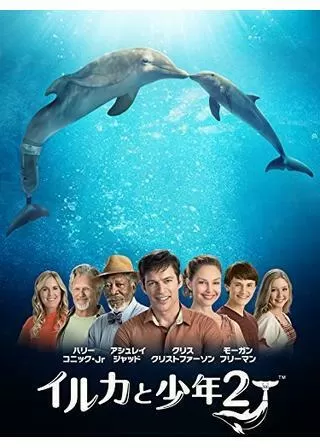 イルカと少年2のポスター