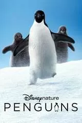 ディズニーネイチャー ペンギンの住む氷の世界のポスター