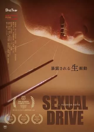 Sexual Driveのポスター