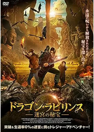 ドラゴン・ラビリンス 迷宮の秘宝のポスター