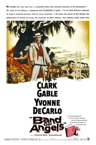 南部の反逆者のポスター