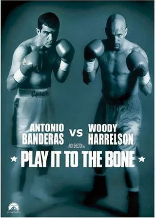 マイ スウィート ガイズのポスター