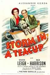 茶碗の中の嵐のポスター
