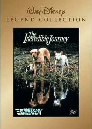 三匹荒野を行くのポスター