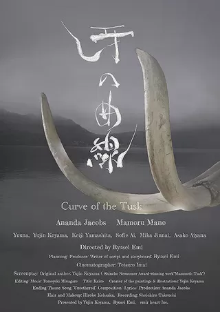 牙の曲線のポスター