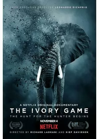 アイボリー・ゲームのポスター