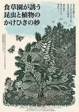 食草園が誘う昆虫と植物のかけひきの妙のポスター