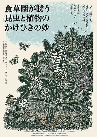 食草園が誘う昆虫と植物のかけひきの妙のポスター