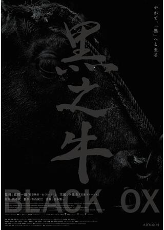 黒の牛のポスター