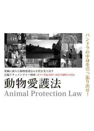 動物愛護法のポスター