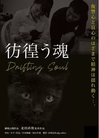 彷徨う魂のポスター