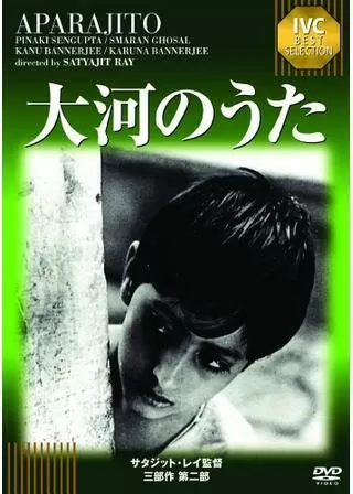 大河のうたのポスター