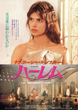 ハーレムのポスター