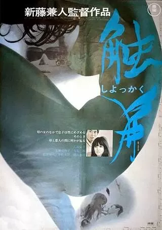 触角のポスター