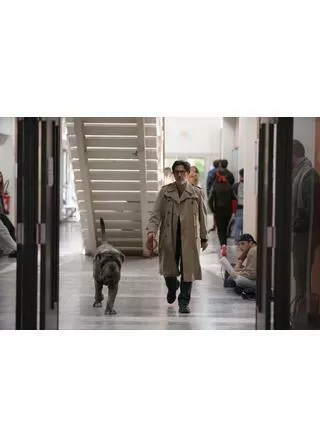 マイ・ドッグ・ステューピッドのポスター