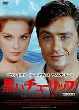 黒いチューリップのポスター
