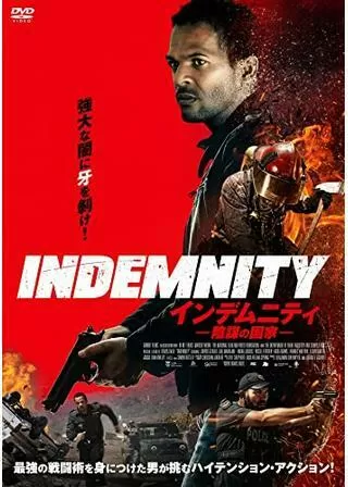 インデムニティ 陰謀の国家のポスター