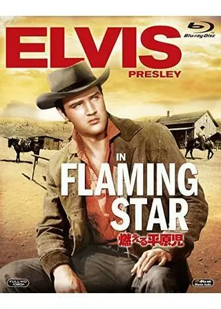 燃える平原児のポスター