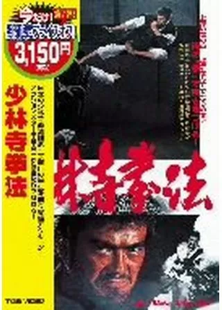 少林寺拳法のポスター