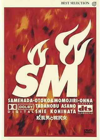 鮫肌男と桃尻女のポスター