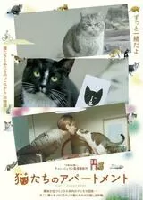 猫たちのアパートメントのポスター