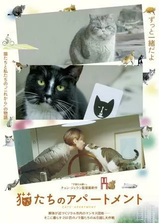 猫たちのアパートメントのポスター