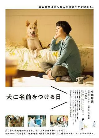 犬に名前をつける日のポスター