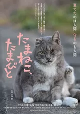 たまねこ、たまびとのポスター