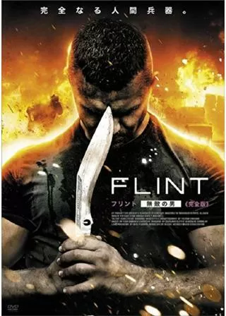 FLINT ～フリント 無敵の男～のポスター
