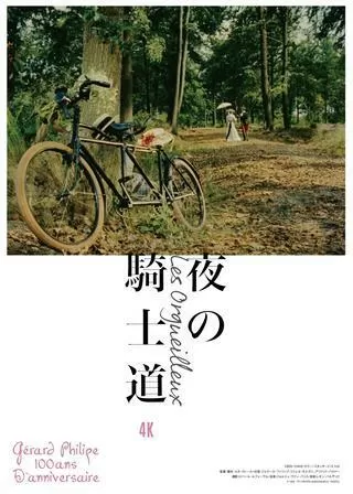 夜の騎士道のポスター