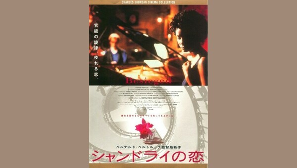 シャンドライの恋 解説・レビュー・評価 映画ポップコーン