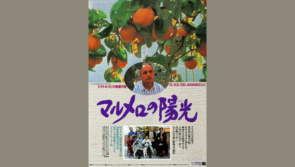 マルメロの陽光 - 解説・レビュー・評価 | 映画ポップコーン