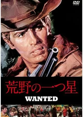 荒野の一つ星のポスター