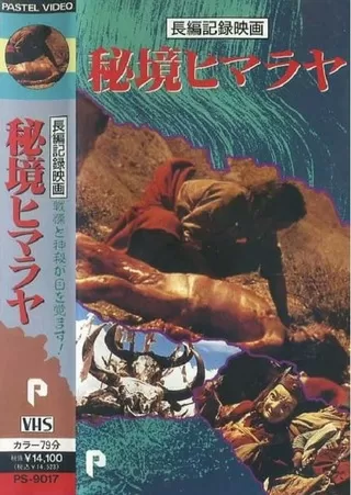 若い素肌のポスター