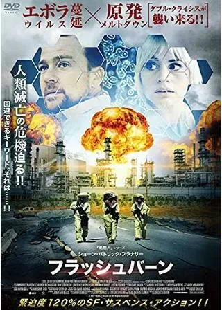 フラッシュバーンのポスター