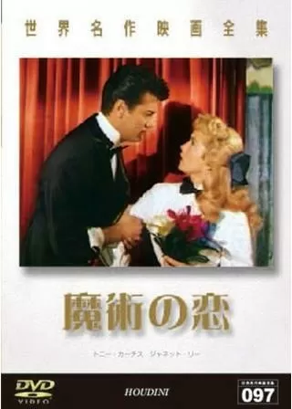 魔術の恋のポスター