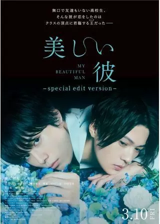 美しい彼 special edit versionのポスター