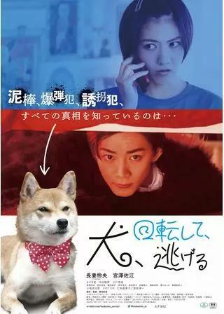 犬、回転して、逃げるのポスター