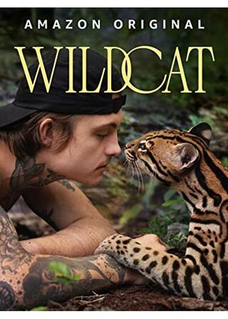ワイルドキャットのポスター