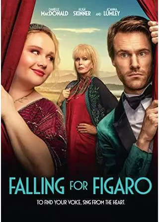 フィガロに恋してのポスター