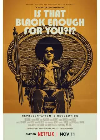 ブラック・イナフ?!?-アメリカ黒人映画史-のポスター