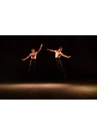 バレエ: 未来への扉のポスター