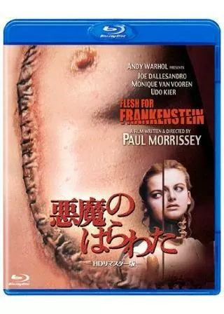 悪魔のはらわたのポスター