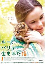 ルー、パリで生まれた猫のポスター