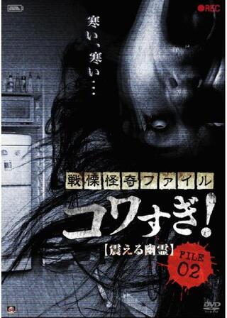 戦慄怪奇ファイル コワすぎ! FILE-02 震える幽霊のポスター