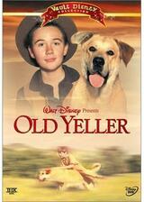 黄色い老犬のポスター