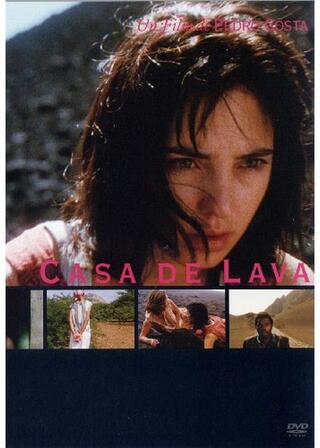 溶岩の家のポスター