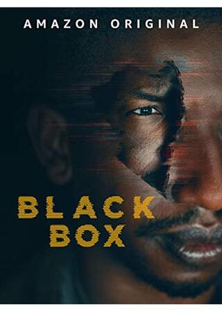 ブラック・ボックスのポスター